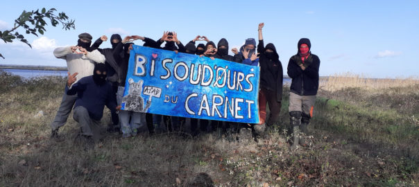 Bisoud'ours du Carnet